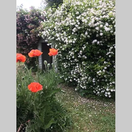 Hébergement de vacances Les Terrasses Pierrefonds
